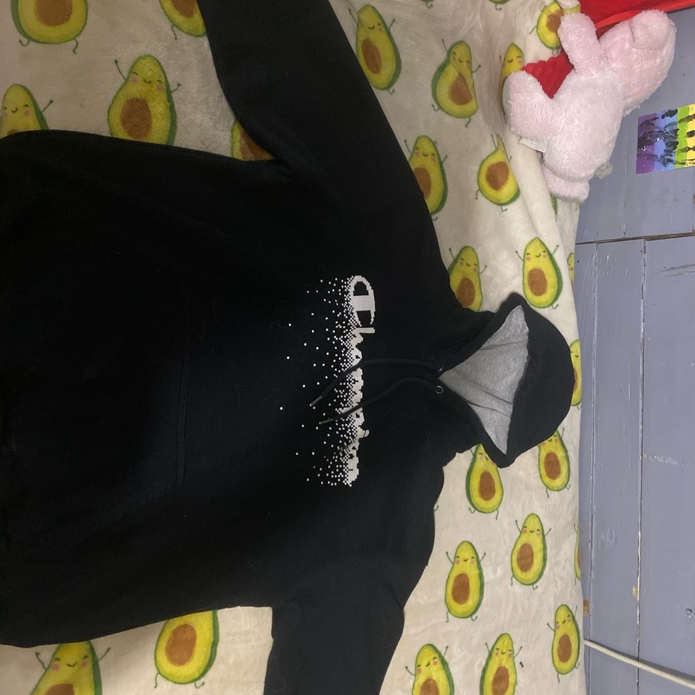 Champion hoodie